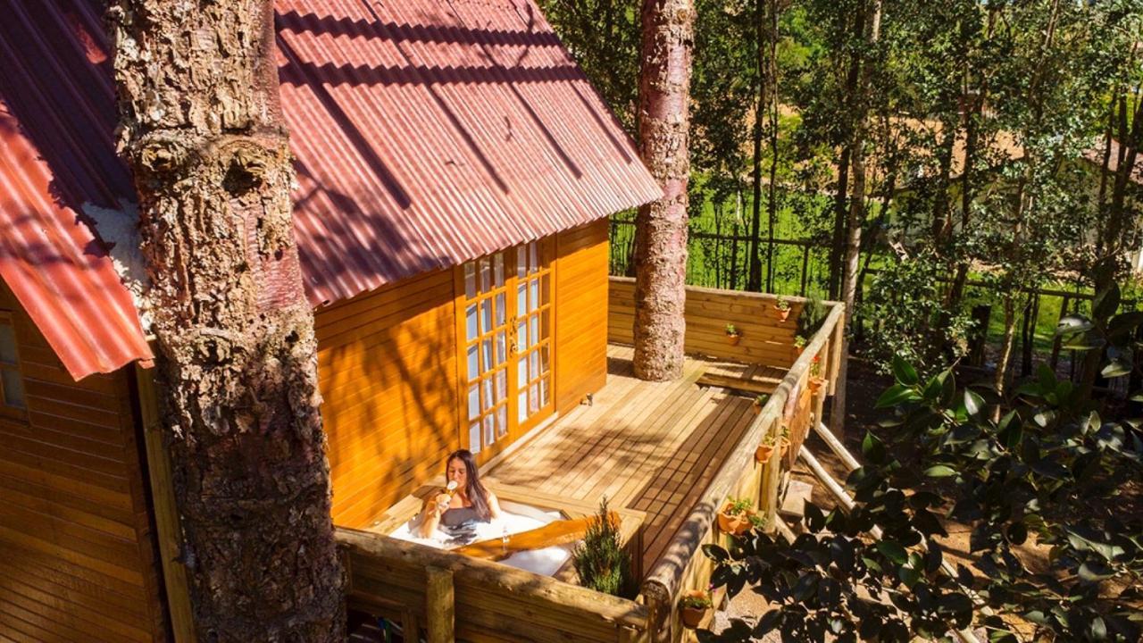 Casa Na Arvore Com Hidro, Piscina, Trilha, Cavalo 벤투곤살베스 외부 사진