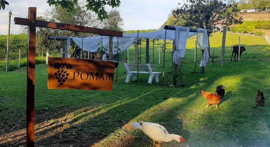 Casa Na Arvore Com Hidro, Piscina, Trilha, Cavalo 벤투곤살베스 외부 사진